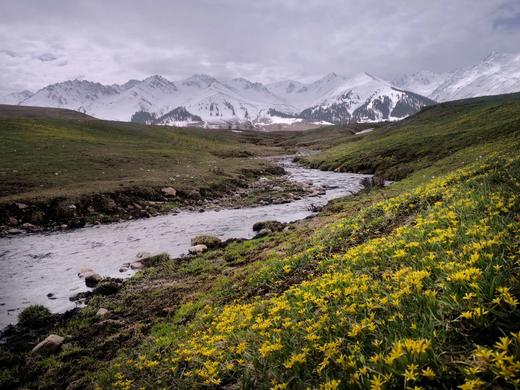 花开中国-伊犁河谷的杏花（新疆伊犁） 商品图2