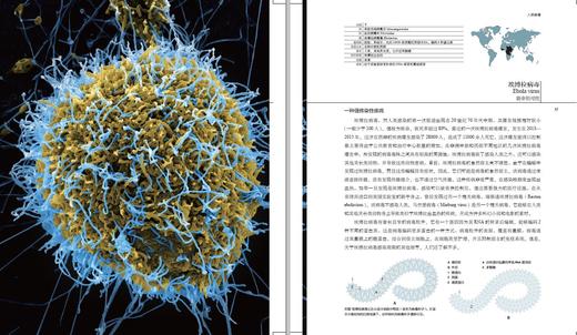 《病毒博物馆》定价：168.00元   作者：玛丽莲 • 鲁辛克 著 译者：胡志红，周荷菂 商品图4