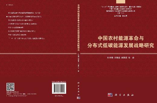 中国农村能源革命与分布式低碳能源发展战略研究 商品图3