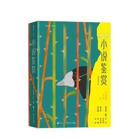 小说鉴赏 文学欣赏经典教材书籍 布鲁克斯编著经典文学教科书小说研究文学评论