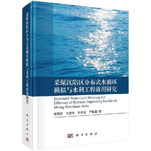 采煤沉陷区分布式水循环模拟与水利工程效用研究 商品图0