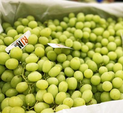 【满120包邮】澳洲绿宝石无籽葡萄(1kg/2kg)