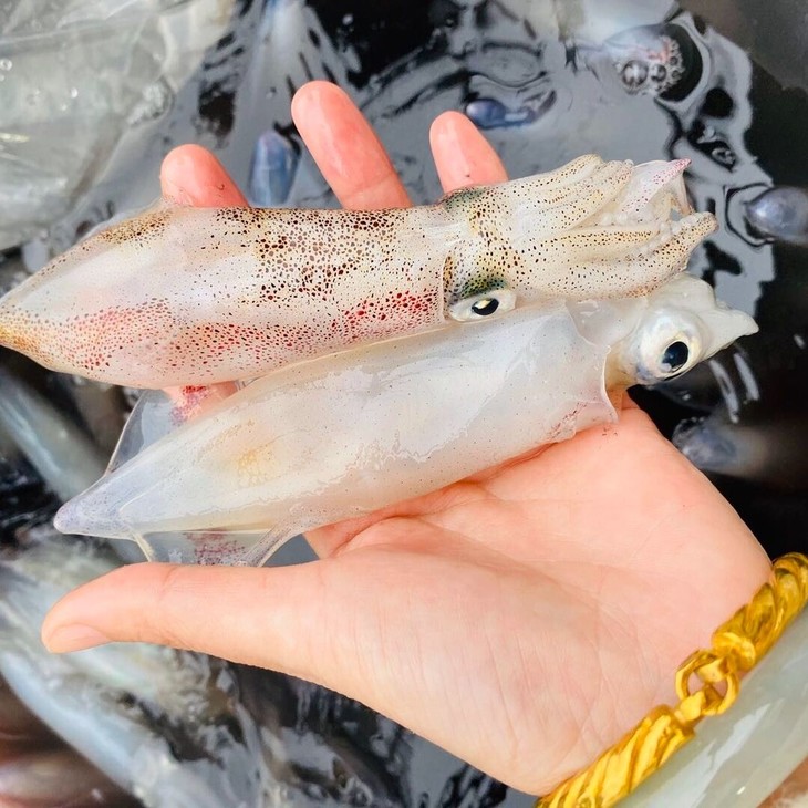 【海鲜精选】东山海鲜61野生活鲜白小管(顺丰冷链直达) 特别鲜甜 肉