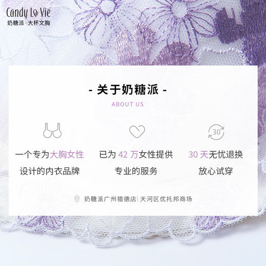 奶糖派大罩杯繁花若梦圆润饱满上托稳定透气舒适女春夏新品 商品图3