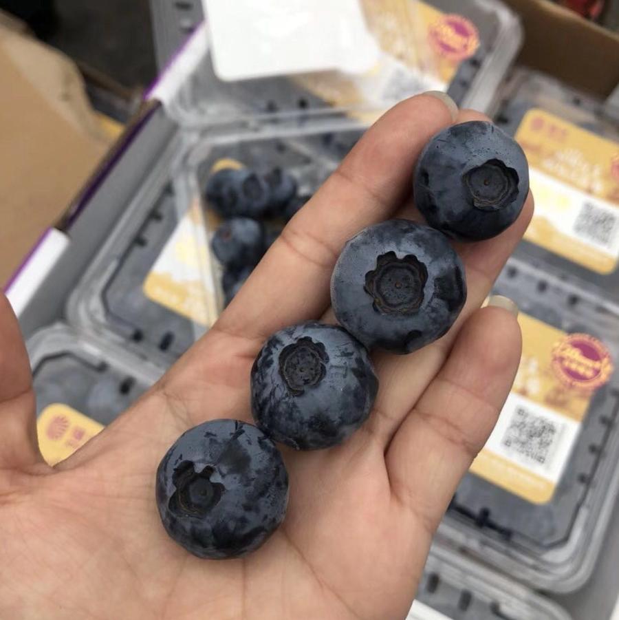 佳沃山地蓝莓特大果 6小盒