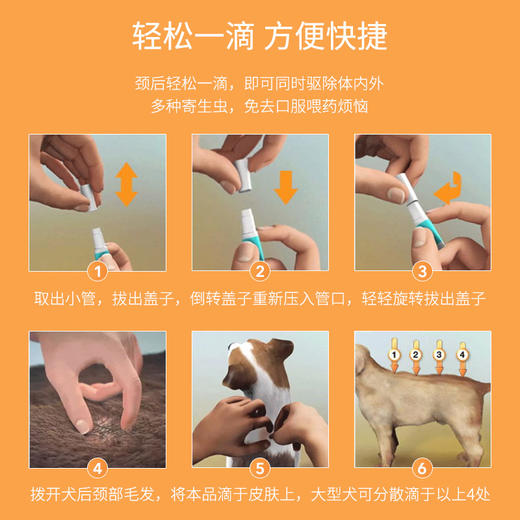 【猫用】爱沃克猫咪体内外一体驱虫滴剂1支【防伪可查】 商品图1