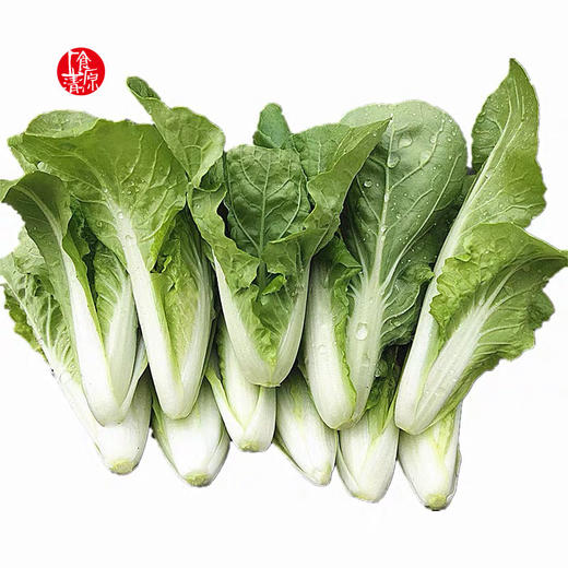 小白菜1把约450g