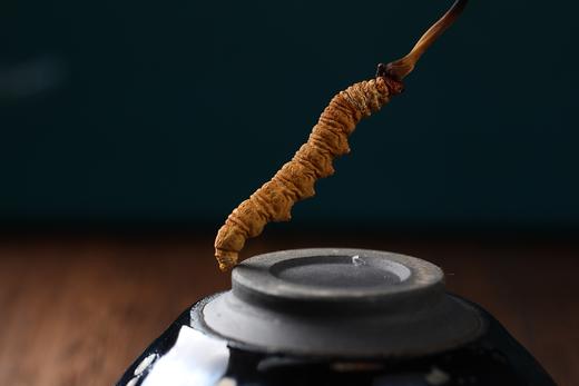 【美燕屋】那曲冬虫夏草 商品图2