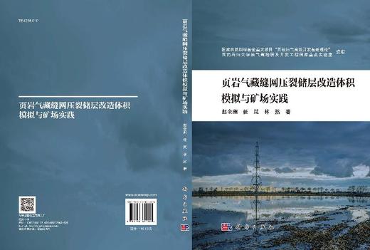 页岩气藏缝网压裂储层改造体积模拟与矿场实践 商品图3