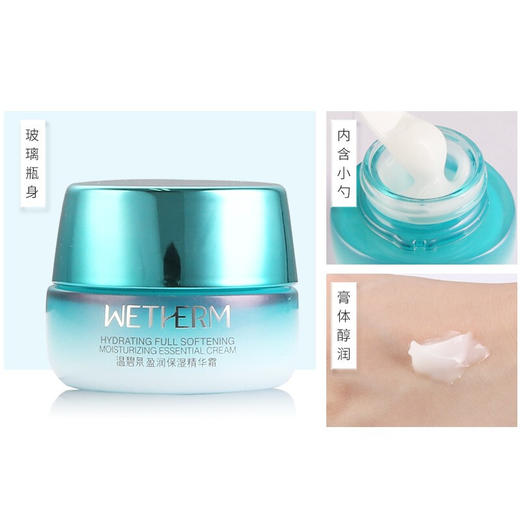 温碧泉盈润保湿精华霜 商品图1