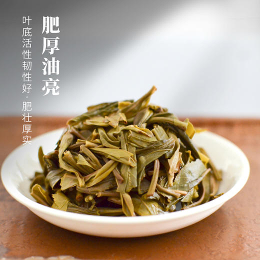 霏鸿茶叶 普洱茶生茶饼茶古树茶2019年布朗山云雾古树云南普洱生普茶叶君子青饼357g 商品图3