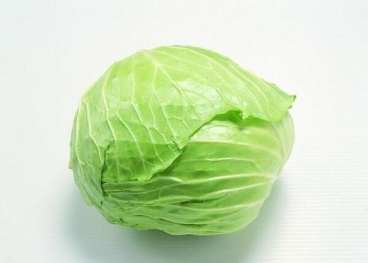 苏州兰州包菜500g