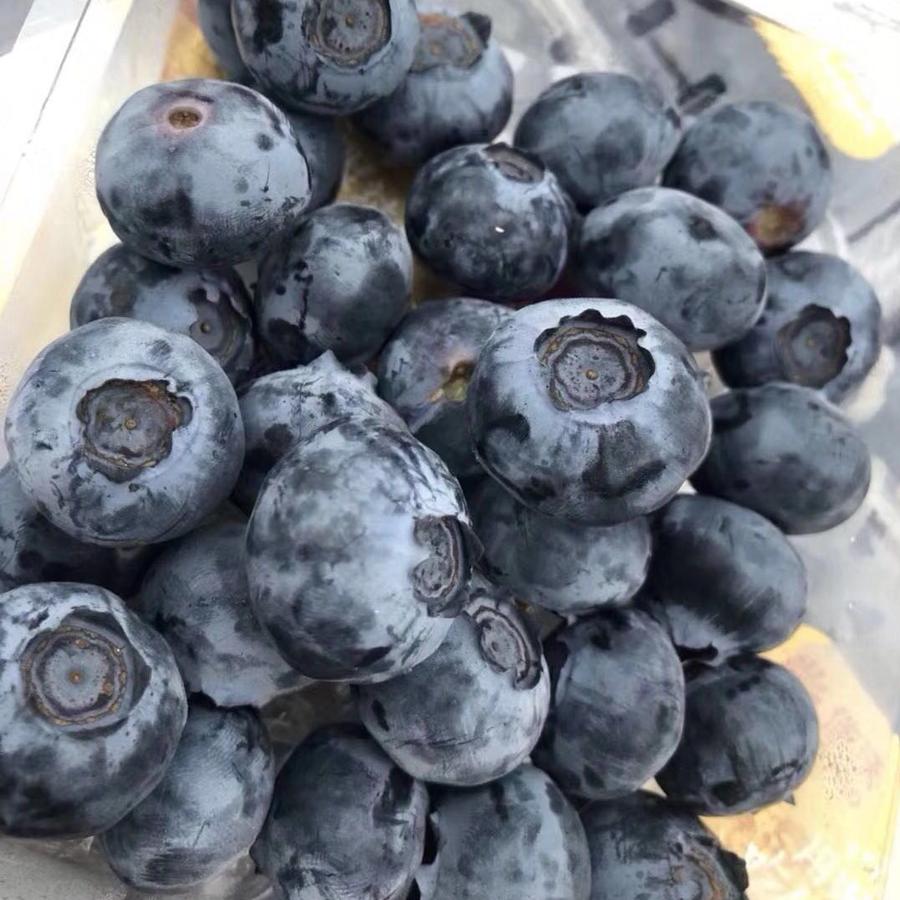 佳沃山地蓝莓特大果 6小盒