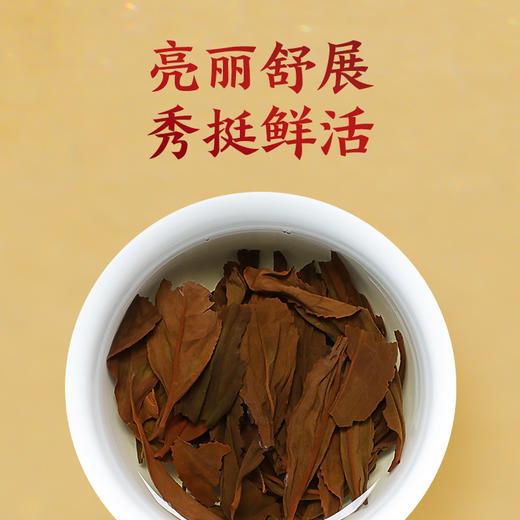 正山堂 水底香小金罐 红茶小包装正山小种特级茶叶试饮装7g 商品图4