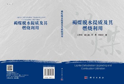 褐煤脱水提质及其燃烧利用 商品图3