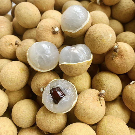 泰国进口 金果园鲜龙眼 桂圆新鲜水果鲜龙眼鲜桂圆1kg