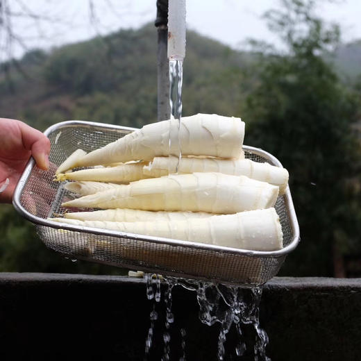 头茬天目山春笋 4斤装 商品图6