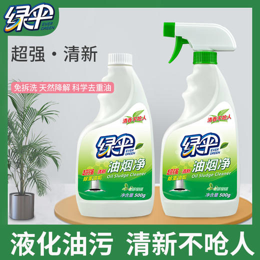 绿伞 超强清新油烟净 500g*2