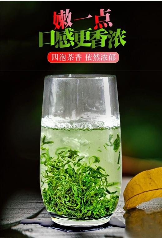 2024明前高山雪青绿茶（散装茶） 商品图1