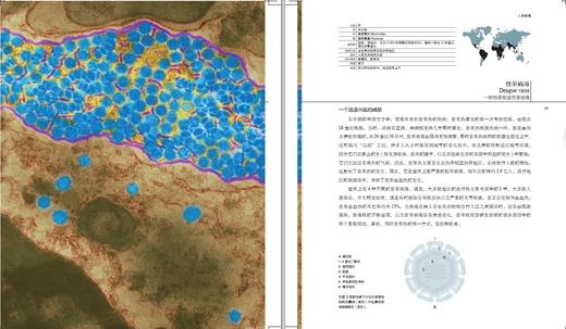 《病毒博物馆》定价：168.00元   作者：玛丽莲 • 鲁辛克 著 译者：胡志红，周荷菂 商品图6