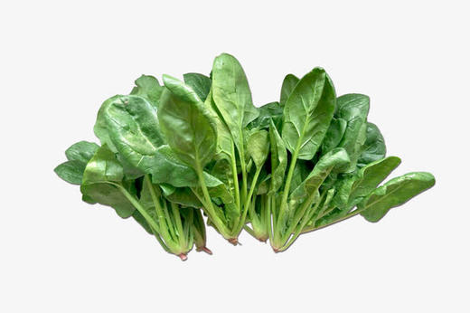 苏州41415日特价小菠菜两斤