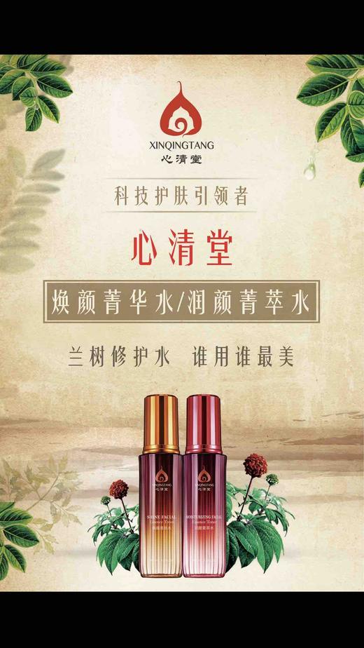 心清堂润颜菁萃水100ml6瓶