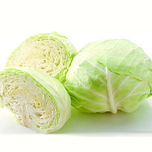 苏州兰州包菜500g