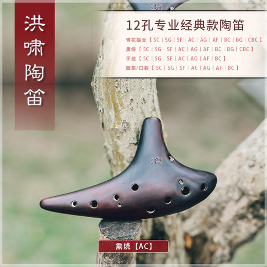 12孔陶笛【AC】专业款汇总 商品图1