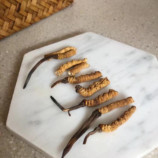 那曲大断草10克 商品图1