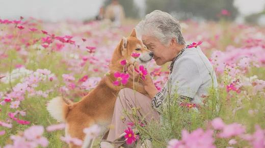 前言 | 爱的业力法则 商品图0