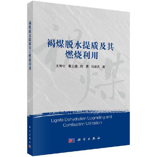 褐煤脱水提质及其燃烧利用 商品图0