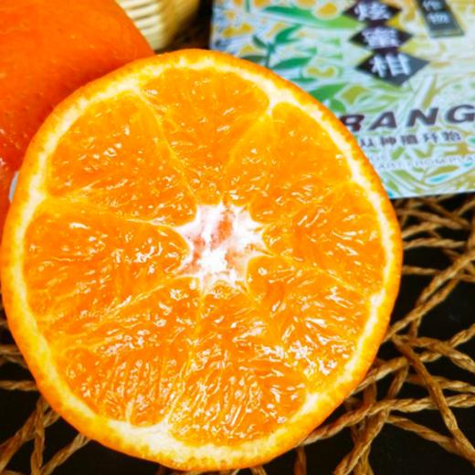 【四川 炫蜜柑】甜水炸弹 皮薄易剥 香甜无籽 入口
