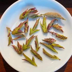 2025【千年野生紫芽苞】 春天的气息，来自荒野古树茶的春天的芽苞！