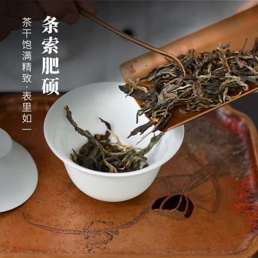 霏鸿茶叶 普洱茶生茶饼茶古树茶2019年布朗山云雾古树云南普洱生普茶叶君子青饼357g 商品图1