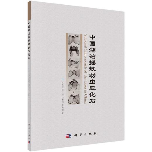 中国湖泊摇蚊幼虫亚化石 商品图0