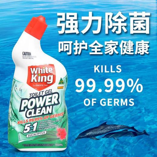 【直发】澳洲进口WhiteKing洁白王强力除菌洁厕剂700ml马桶陶瓷清洁剂强效 商品图2