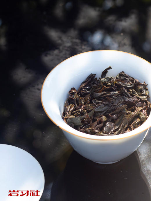 09期：死茶是什么意思？ 商品图0