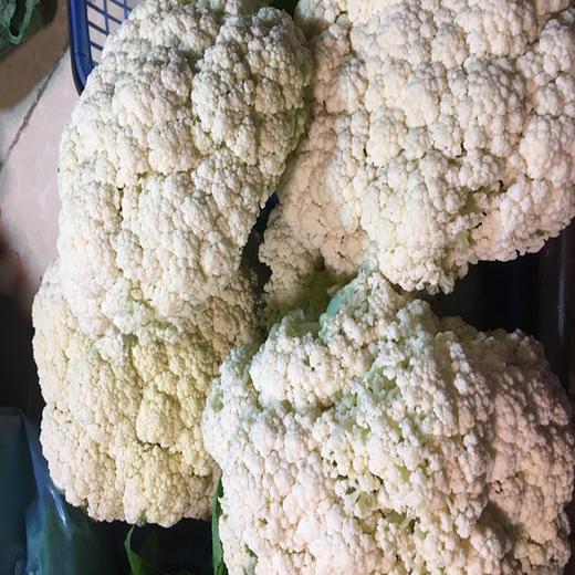 新溪菜花 商品图1