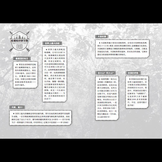 巨蚺峡谷的岩崩求生 商品图3