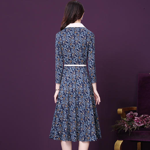 WXY-L132W春新款收腰显瘦碎花连衣裙 商品图2