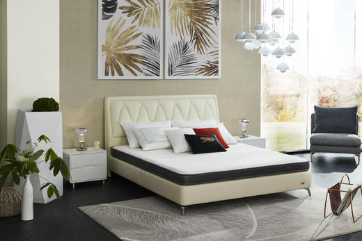 净眠5114  床垫（2级 14CM） 商品图0