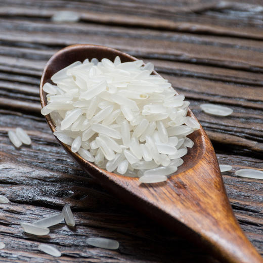 井冈山油粘米10斤包邮井冈山大米七天鲜米脱壳软糯有嚼劲