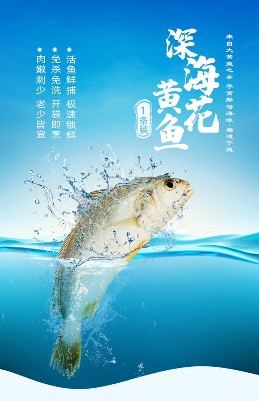 【20条起送】福建宁德优质深海黄花鱼300g/条 去腮 去鳞 去内脏 (冷链