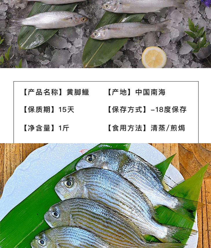 南海船凍野生魚黃鯧魚馬頭魚白頭魚黃腳鱲魚白花魚