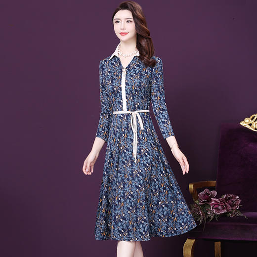 WXY-L132W春新款收腰显瘦碎花连衣裙 商品图1