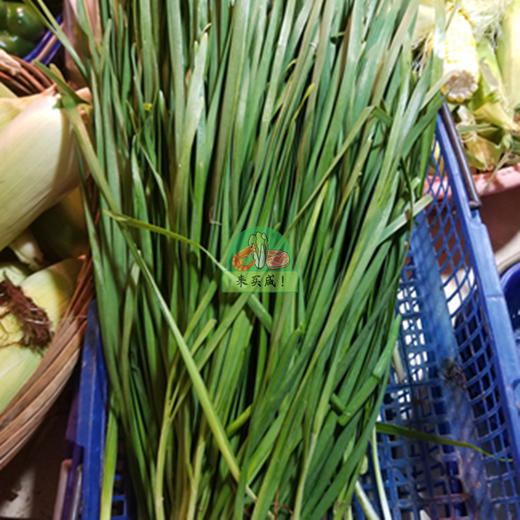 本地韭菜 商品图1