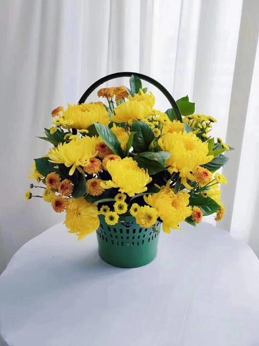 【清明囤货款】塑料绿提篮（大号/小号）黄提篮【团购咨询客服 /扫码下单】 商品图3