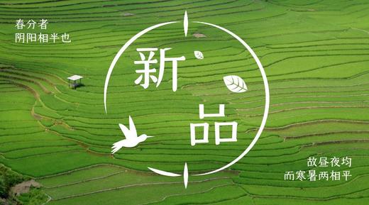 加湿器滤芯专拍（拍下务必联系客服发收货地址） 商品图0