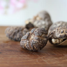 段木小花菇 | 大巴山深处野外纯青杠木生长，香菇中的极少数！《舌尖上的中国2》推崇山珍！