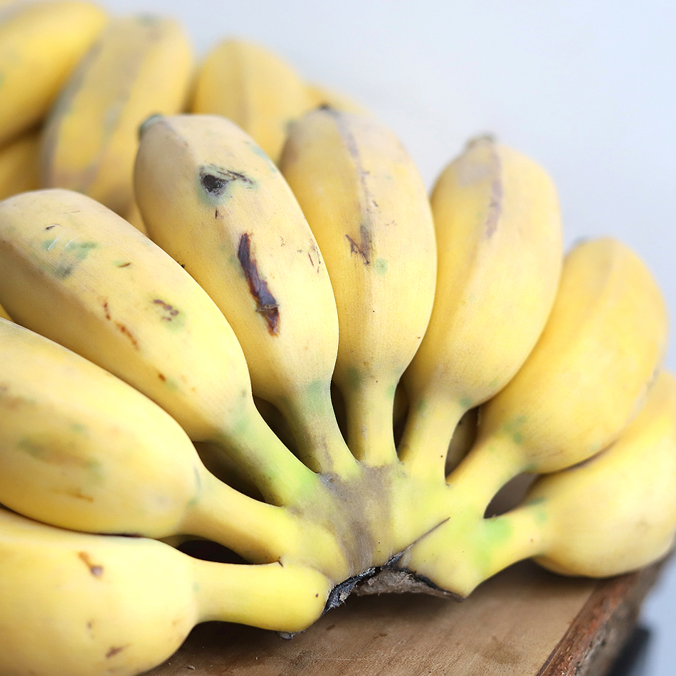 【预售】老实芭蕉 | 云南元江深山种植，生态管理，粉糯酸甜